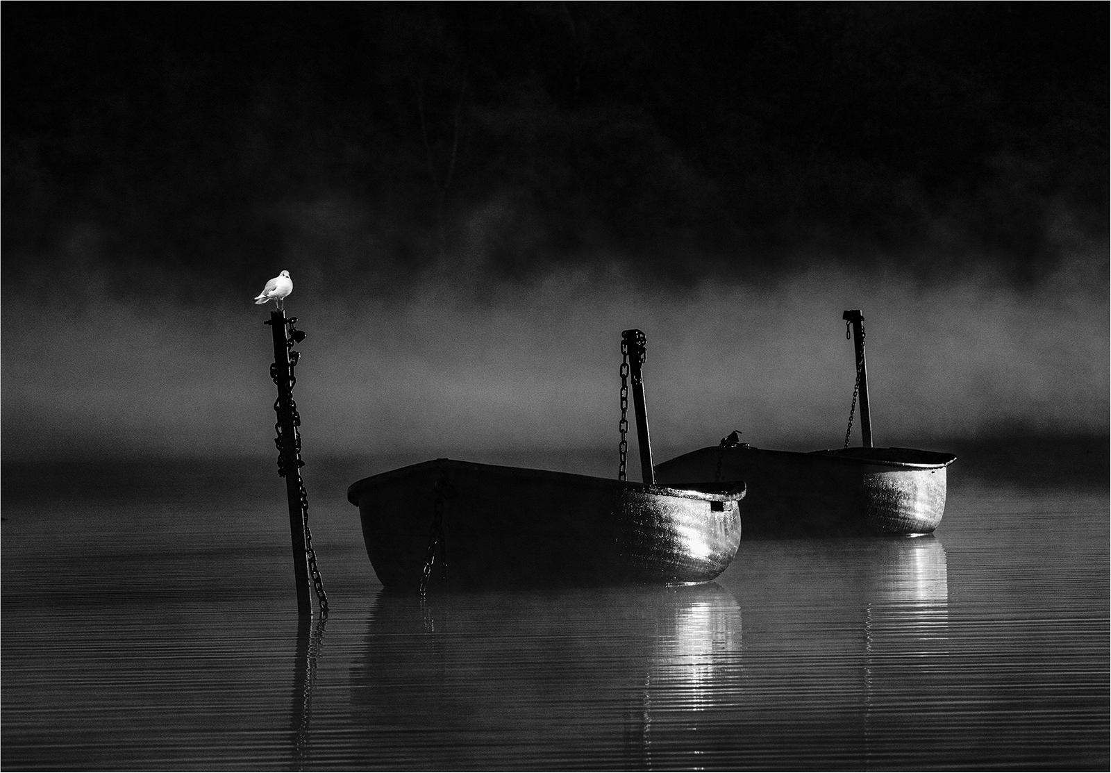 2 Two boats and a gull - David Evans