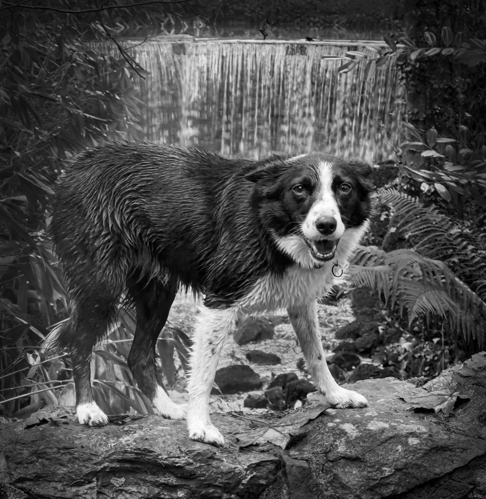 3 Megan yn Glynllifon - Ceri Williams