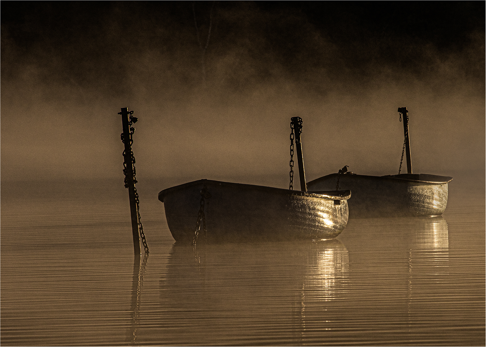 C - David Evans - Anchored in the Mist