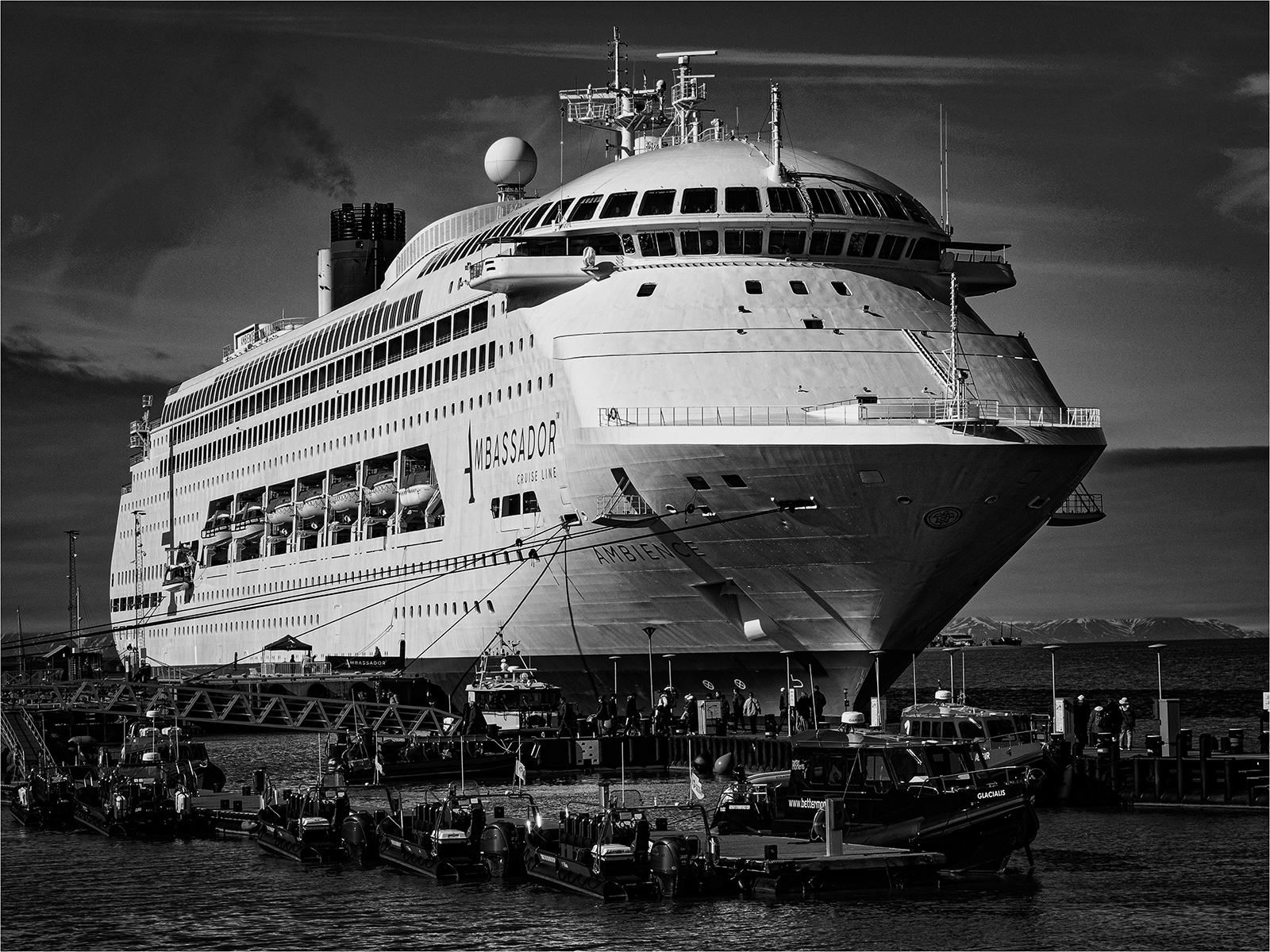 C Mother Duck - Brinley Williams