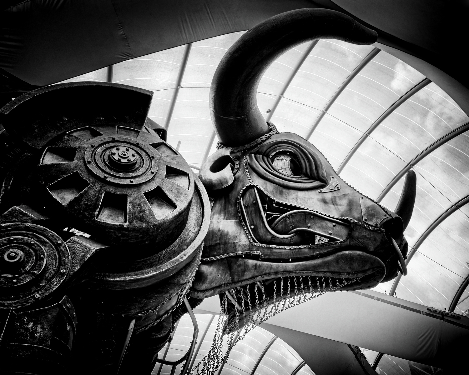 C The Bull Ring - John Staten