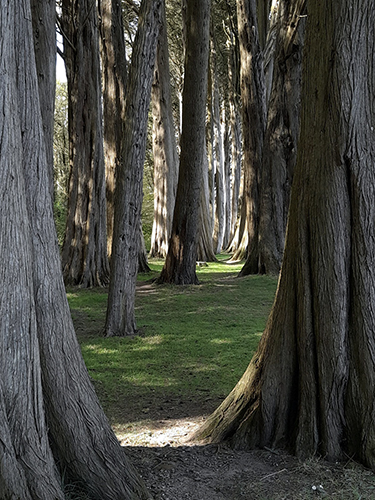 HC REDWOOD AVENUE - EGRYN ROBERTS   