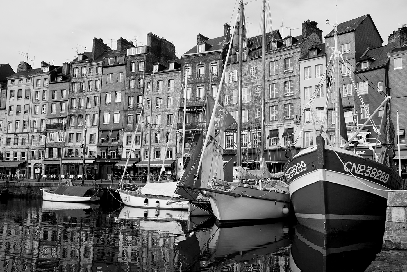 HC Safe Harbour - Brian Williams