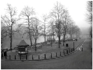 General:  Best Print award:   - Riverside in the Mist - Val Kressman